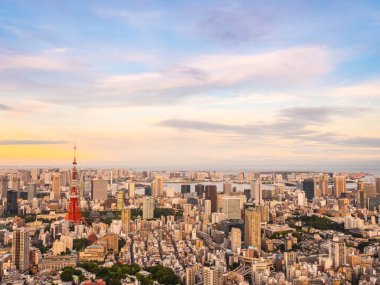Japonya'da günbatımı zaman şehirde bina mimari ve tokyo kule güzel havadan görünümü
