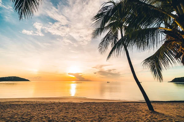 Günbatımı zaman tropik cennet ada plaj ve deniz ile Hindistan cevizi palmiye ağacı üzerinde tatil ve tatil için