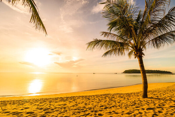 At sunset time on the tropical paradise island beach and sea with coconut palm tree for holiday and vacation