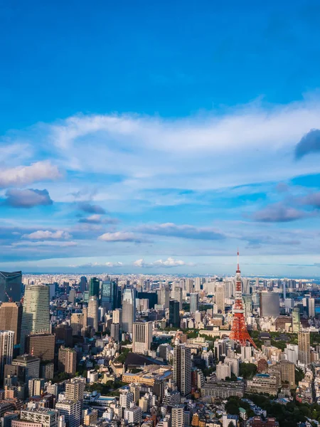 Krásné Architektury Budování Kolem Města Tokio Tokyo Tower Japonsku Modrou — Stock fotografie