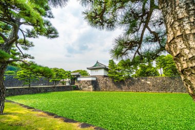 Güzel eski mimari İmparatorluk Sarayı Kalesi hendek ve Tokyo şehir Japonya köprüsünde