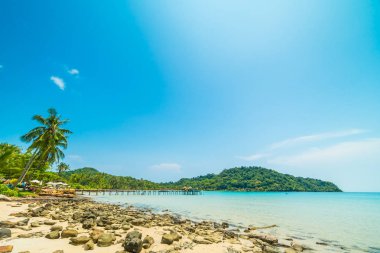 Güzel tropikal plaj ve deniz paradise Island Seyahat ve tatil için Hindistan cevizi hurma ağacı