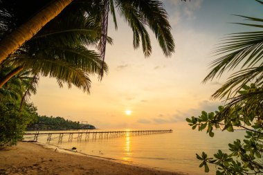 Plaj ve deniz Hindistan cevizi hurma ağacı günbatımı zaman - tatil tatil ve seyahat kavramı etrafında güzel Cennet Adası
