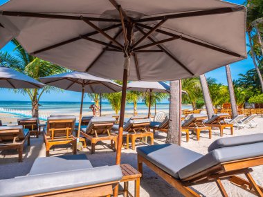 Şemsiye ve sandalyenin üstüne Hindistan cevizi hurma ağacının seyahat ve tatil etrafında mavi gökyüzü ile plaj ve okyanus