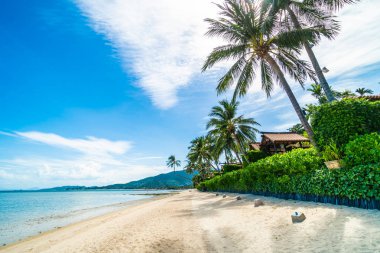 Güzel tropikal plaj deniz ve kum mavi gökyüzü ve beyaz bulut seyahat ve tatil için Hindistan cevizi hurma ağacı ile