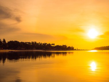 Güzel tropikal plaj deniz ve okyanus ile Hindistan cevizi hurma ağacı gündoğumu zaman seyahat ve tatil için