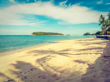 Güzel tropikal plaj ve deniz ile Hindistan cevizi hurma ağacının seyahat ve tatil