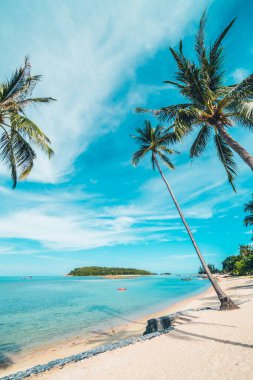 Güzel tropikal plaj deniz ve kum mavi gökyüzü ve beyaz bulut seyahat ve tatil için Hindistan cevizi hurma ağacı ile