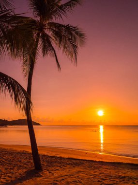 Güzel tropikal plaj deniz ve okyanus ile Hindistan cevizi hurma ağacı gündoğumu zaman seyahat ve tatil için