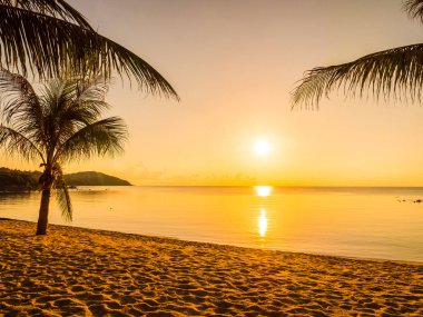 Güzel tropikal plaj deniz ve okyanus ile Hindistan cevizi hurma ağacı gündoğumu zaman seyahat ve tatil için