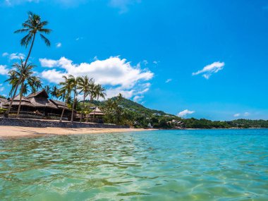Güzel tropikal plaj ve deniz ile Hindistan cevizi hurma ağacının seyahat ve tatil