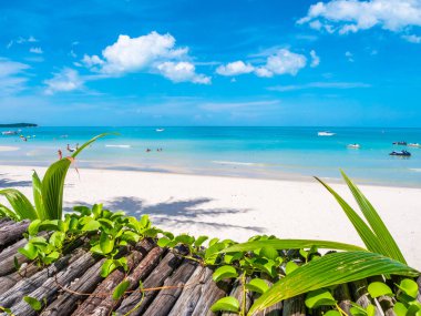 Güzel tropikal plaj deniz ve okyanus seyahat etmek ve kopya alanı ile tatil için