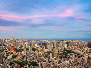 Japonya'da günbatımı zaman şehirde bina mimari ve tokyo kule güzel havadan görünümü
