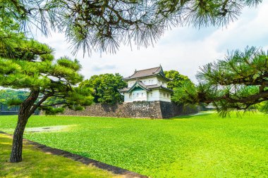 Güzel eski mimari İmparatorluk Sarayı Kalesi hendek ve Tokyo şehir Japonya köprüsünde