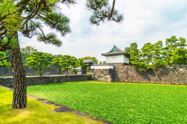 Güzel eski mimari İmparatorluk Sarayı Kalesi hendek ve Tokyo şehir Japonya köprüsünde