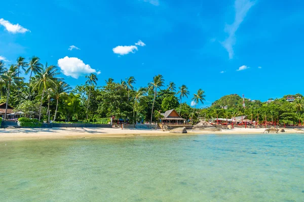 Bella Spiaggia Tropicale Mare Sabbia Con Palma Cocco Sul Cielo — Foto Stock