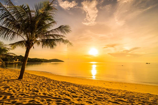 休日と休暇の熱帯の楽園の島のビーチとココナッツのヤシの木と海の日没時 — ストック写真