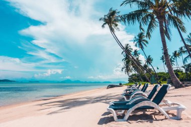 Plaj ve deniz tatil ve seyahat için Hindistan cevizi hurma ağacı ile üzerinde şemsiye ve sandalye ile güzel açık görünüm