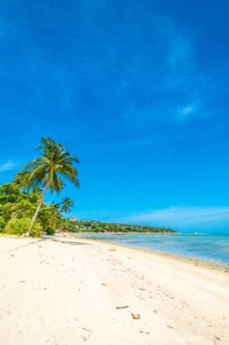 Güzel tropikal plaj deniz ve kum mavi gökyüzü ve beyaz bulut seyahat ve tatil için Hindistan cevizi hurma ağacı ile