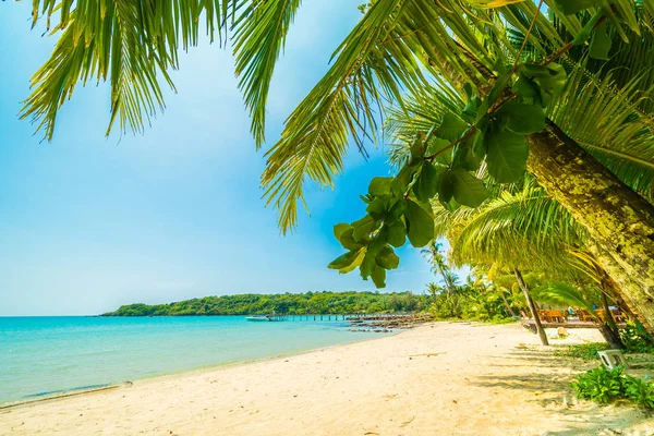 Wunderschöner Tropischer Strand Und Meer Mit Kokospalmen Paradiesinsel Für Reise — Stockfoto