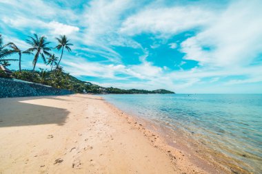 Güzel tropikal plaj deniz ve kum mavi gökyüzü ve beyaz bulut seyahat ve tatil için Hindistan cevizi hurma ağacı ile