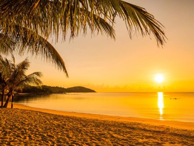 Güzel tropikal plaj deniz ve okyanus ile Hindistan cevizi hurma ağacı gündoğumu zaman seyahat ve tatil için