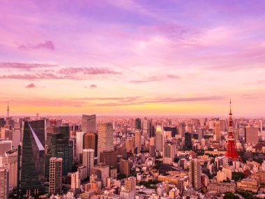 Japonya'da günbatımı zaman şehirde bina mimari ve tokyo kule güzel havadan görünümü