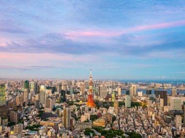 Japonya'da günbatımı zaman şehirde bina mimari ve tokyo kule güzel havadan görünümü