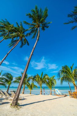 Şemsiye ve sandalye etrafında seyahat ve tatil için Hindistan cevizi hurma ağacı ile güzel açık deniz ve okyanus görmek