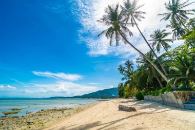 Güzel tropikal plaj deniz ve kum mavi gökyüzü ve beyaz bulut seyahat ve tatil için Hindistan cevizi hurma ağacı ile