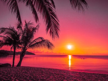 Güzel tropikal plaj deniz ve okyanus ile Hindistan cevizi hurma ağacı gündoğumu zaman seyahat ve tatil için