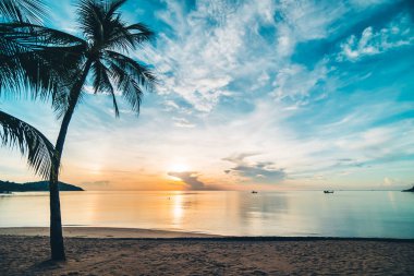 Günbatımı zaman tropik cennet ada plaj ve deniz ile Hindistan cevizi palmiye ağacı üzerinde tatil ve tatil için