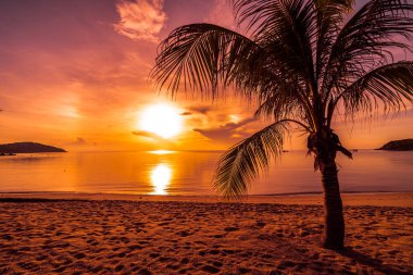 Günbatımı zaman tropik cennet ada plaj ve deniz ile Hindistan cevizi palmiye ağacı üzerinde tatil ve tatil için
