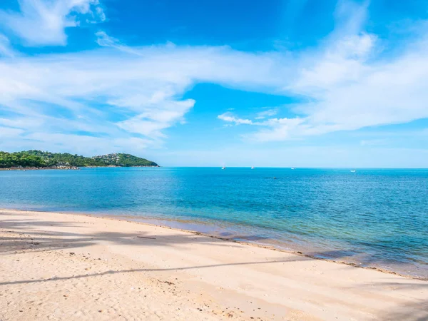 Beautiful Tropical Beach Sea Coconut Palm Tree Travel Vacation — Stock Photo, Image