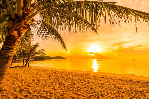 Günbatımı Zaman Tropik Cennet Ada Plaj Deniz Ile Hindistan Cevizi — Stok fotoğraf