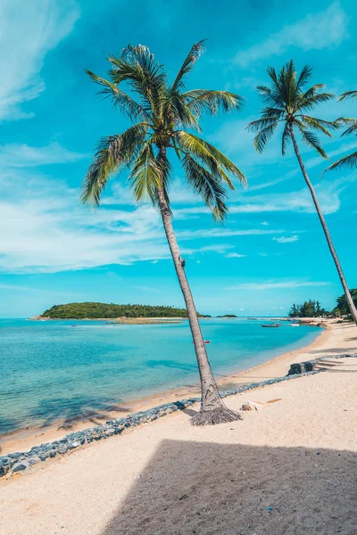 Bela Praia Tropical Mar Areia Com Coqueiro Céu Azul Nuvem — Fotografia de Stock