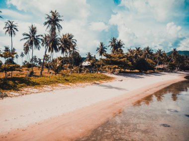 Güzel tropikal plaj ve deniz hurma ve koh samui Adası seyahat ve tatil için diğer ağacında havadan görünümü