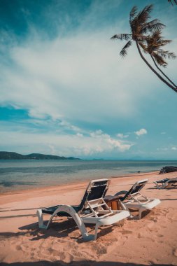 Güzel tropikal plaj ve Hindistan cevizi hurma ağacı ve Cennet Adası sandalyede denize sıfır
