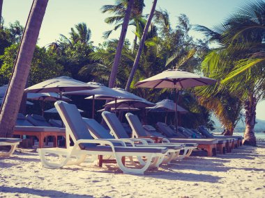 Şemsiye ve sandalyenin üstüne Hindistan cevizi hurma ağacının seyahat ve tatil etrafında mavi gökyüzü ile plaj ve okyanus