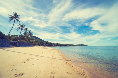 Güzel tropikal plaj deniz ve kum mavi gökyüzü ve beyaz bulut seyahat ve tatil için Hindistan cevizi hurma ağacı ile