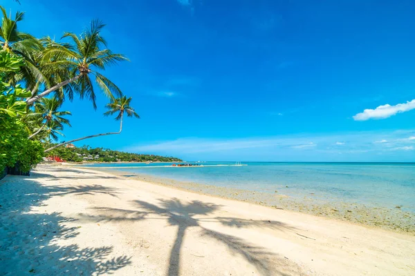 Güzel tropikal plaj deniz ve kum mavi gökyüzü ve beyaz bulut seyahat ve tatil için Hindistan cevizi hurma ağacı ile