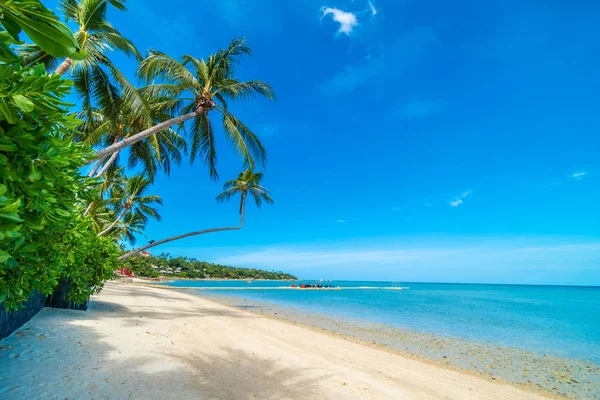 Güzel tropikal plaj deniz ve kum mavi gökyüzü ve beyaz bulut seyahat ve tatil için Hindistan cevizi hurma ağacı ile