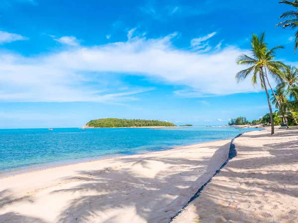 Güzel tropikal plaj ve deniz ile Hindistan cevizi hurma ağacının seyahat ve tatil
