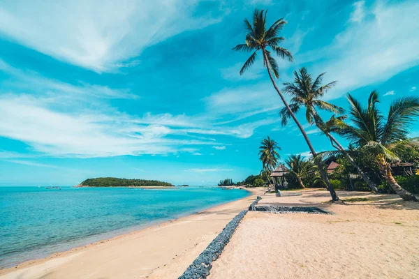 Beautiful Tropical Beach Sea Sand Coconut Palm Tree Blue Sky — Stock Photo, Image