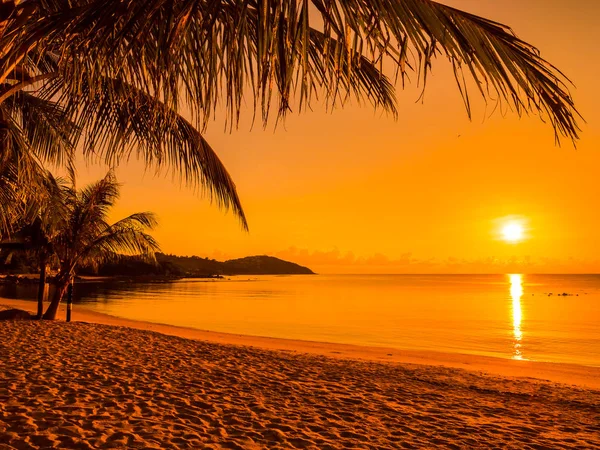 Bella Spiaggia Tropicale Mare Oceano Con Palma Cocco Sorgere Del — Foto Stock