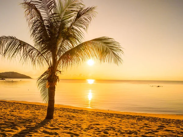 Tropisch Strand Zee Oceaan Met Coconut Palm Tree Bij Zonsopgang — Stockfoto