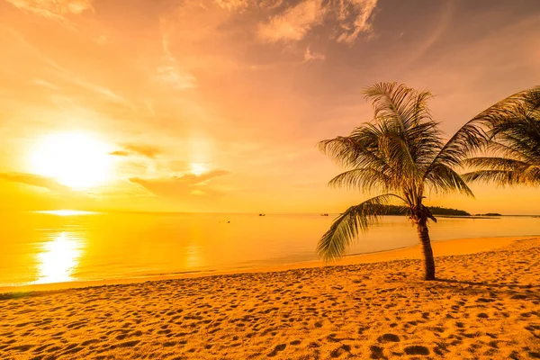 Pôr Sol Ilha Paradisíaca Tropical Praia Mar Com Coqueiro Para — Fotografia de Stock