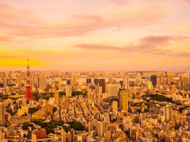 Japonya'da günbatımı zaman şehirde bina mimari ve tokyo kule güzel havadan görünümü