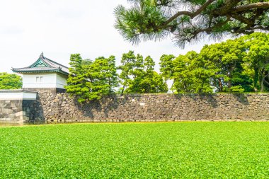 Güzel eski mimari İmparatorluk Sarayı Kalesi hendek ve Tokyo şehir Japonya köprüsünde