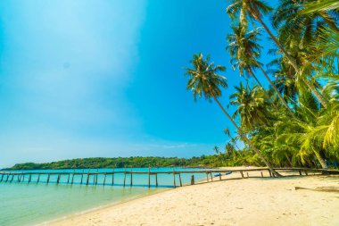 Güzel tropikal plaj ve deniz paradise Island Seyahat ve tatil için Hindistan cevizi hurma ağacı